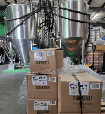 THE IMPORTANCE OF PROJECTING: SECURING SUCCESSFUL BEVERAGE PRODUCTION IN 2024 WITH AFP - Aseptic Fruit Purees | Canada