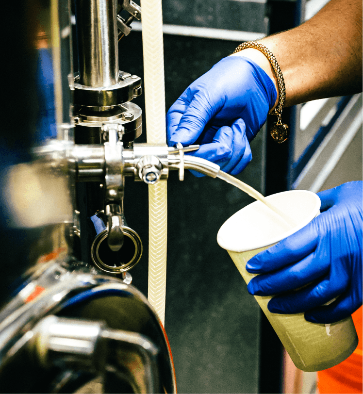 MAKING A CLEAR FRUIT BEER WHEN USING ASEPTIC FRUIT PUREES - Aseptic Fruit Purees | Canada