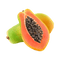 20 kg FRUIT PURÉES – Aseptic Fruit Purees | Canada